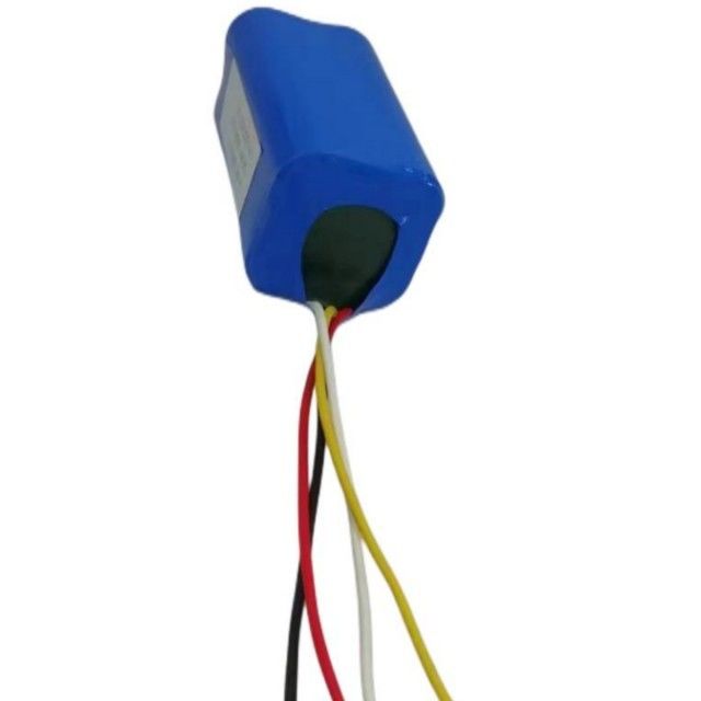 Gepersonaliseerde 14,8v 2200mah batterijpakket 18650 Cell 4s1p met BMS voor Veegmachine