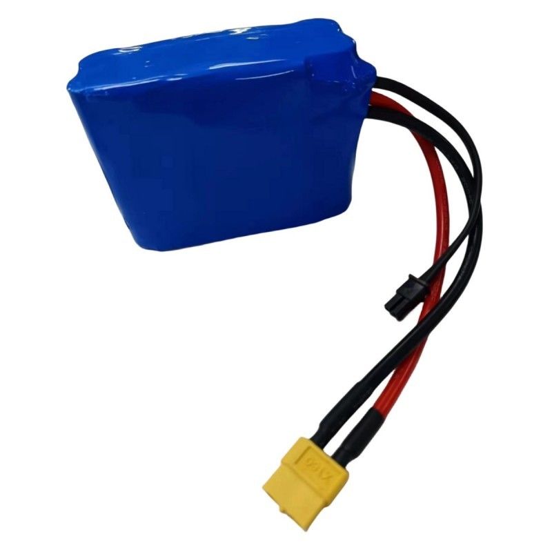 Persoonlijke batterij 5S2P 18650 Lithiumbatterijen 18.5V 5200mAh 5pcs in serie met BMS
