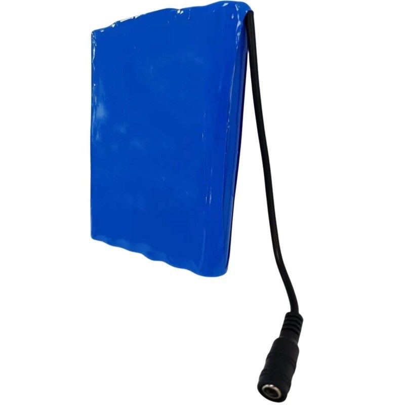 Slim 18650 batterijpakket 6S2P 22.2V 5Ah met DC 5.5x2.1mm connector BMS bovenaan