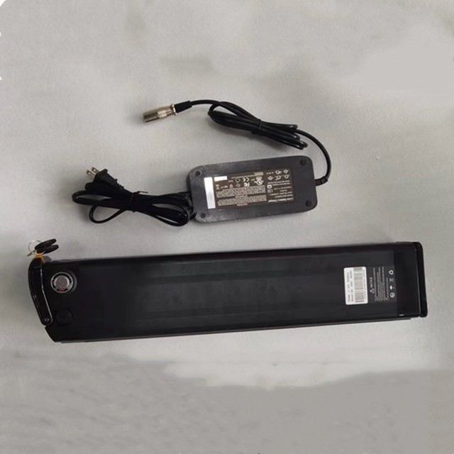 Zilveren vis Lithiumbatterij 48V 25Ah Lengte 630mm met oplader Voor E Bike