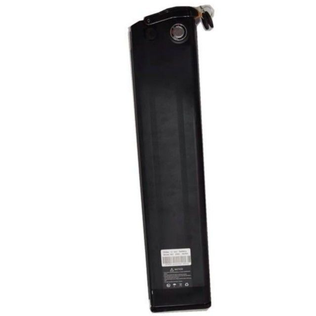 Zilveren vis Lithiumbatterij 48V 25Ah Lengte 630mm met oplader Voor E Bike