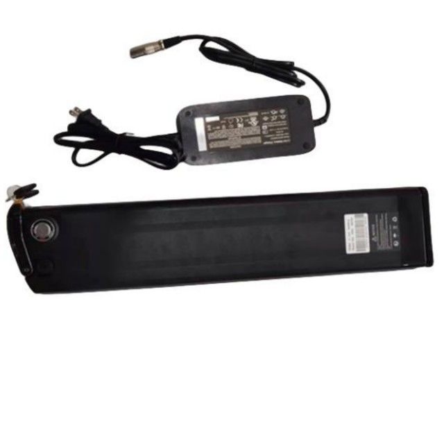 Zilveren vis Lithiumbatterij 48V 25Ah Lengte 630mm met oplader Voor E Bike