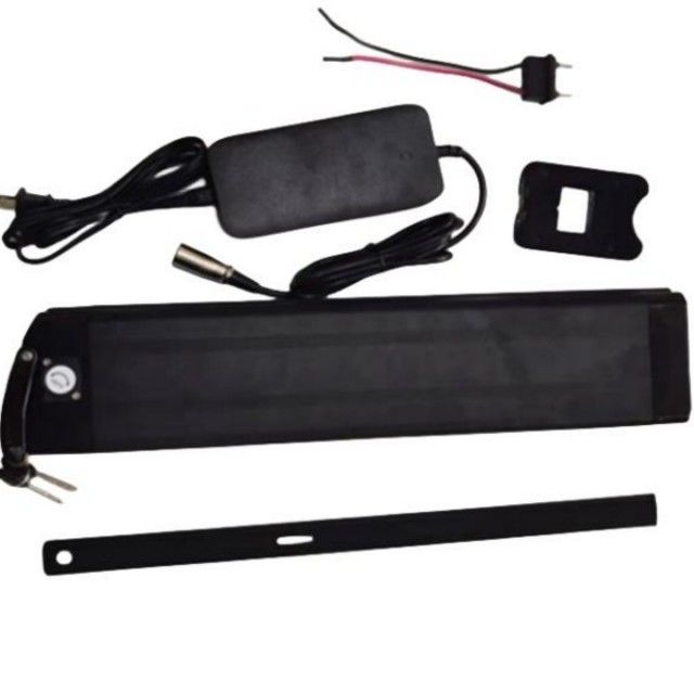 Zilveren vis Lithiumbatterij 48V 25Ah Lengte 630mm met oplader Voor E Bike