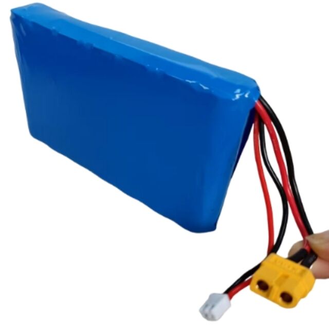 Persoonlijke batterij 7s1p 18650 24V 3500mAh Voor 350W motor met Xt60 stekker